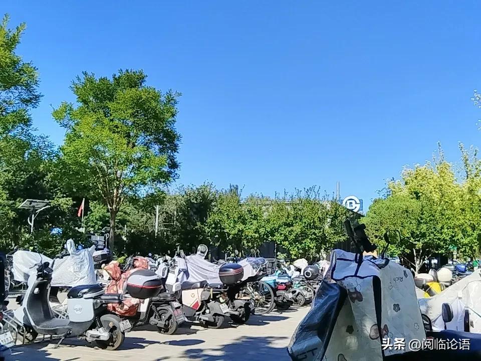 抓特务。笑死人了。现在，谁是特务，一眼就能看出来，用得着花那么多、请那么多人、造