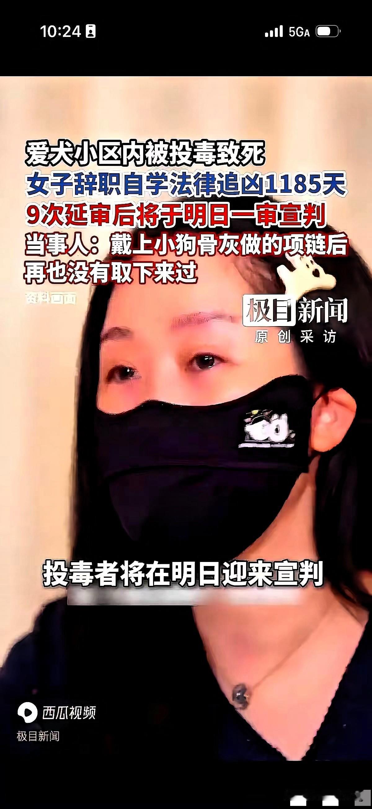 “狗没了家就碎了”？北京李女士这波上诉真的越看越离谱！张老汉投毒致11只猫狗死伤