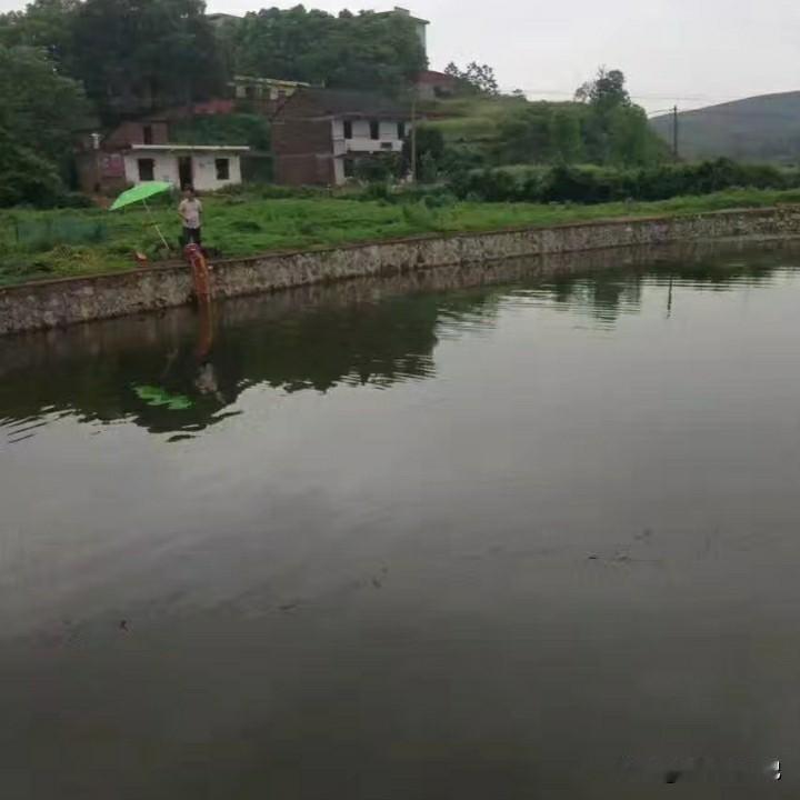 我现在住的地方既不是城市，也不是农村，一个十八线小镇，介于市郊之间。不过住在这儿