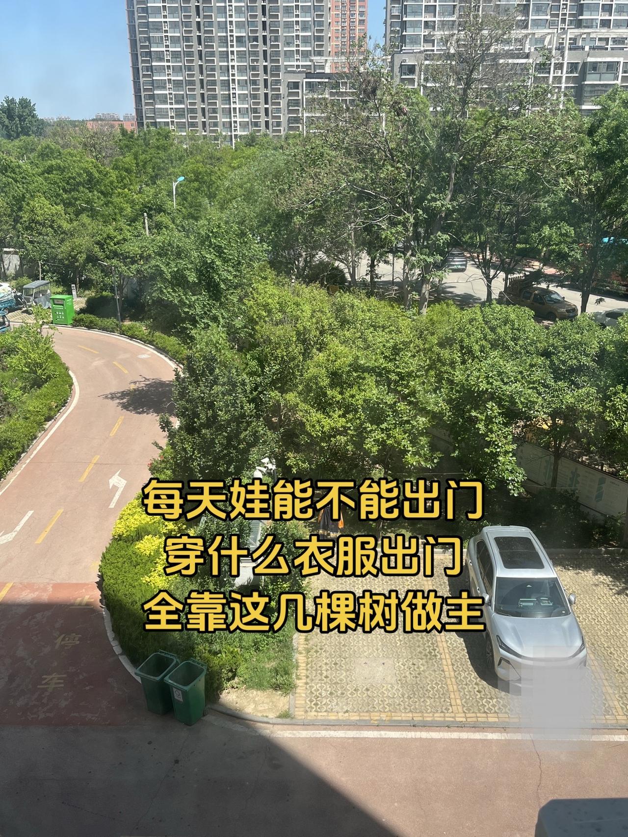 天气 带娃出门 记录真实生活