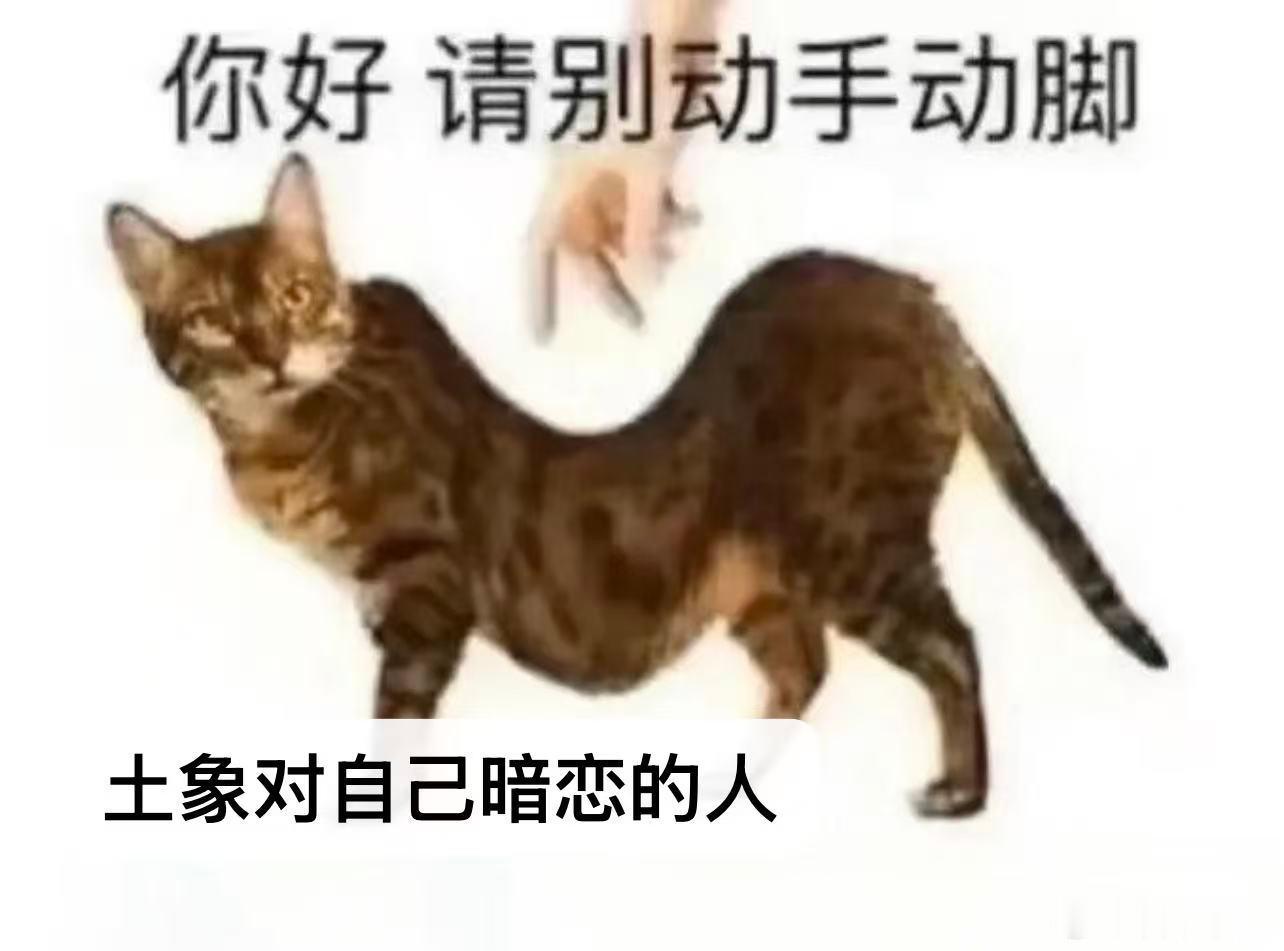十二星座 土象星座的暗恋就是一座围城，是绝对不允许别人来插手的，甚至暗恋对象本人