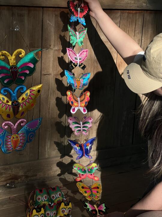 第三批🦋快没了，我们正在沟通第四批！