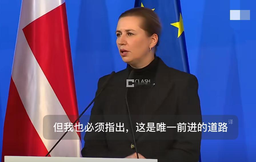近日丹麦首相弗雷德里克森公开坦言，欧洲在过去几周表现出了“力量与团结”，并呼吁这