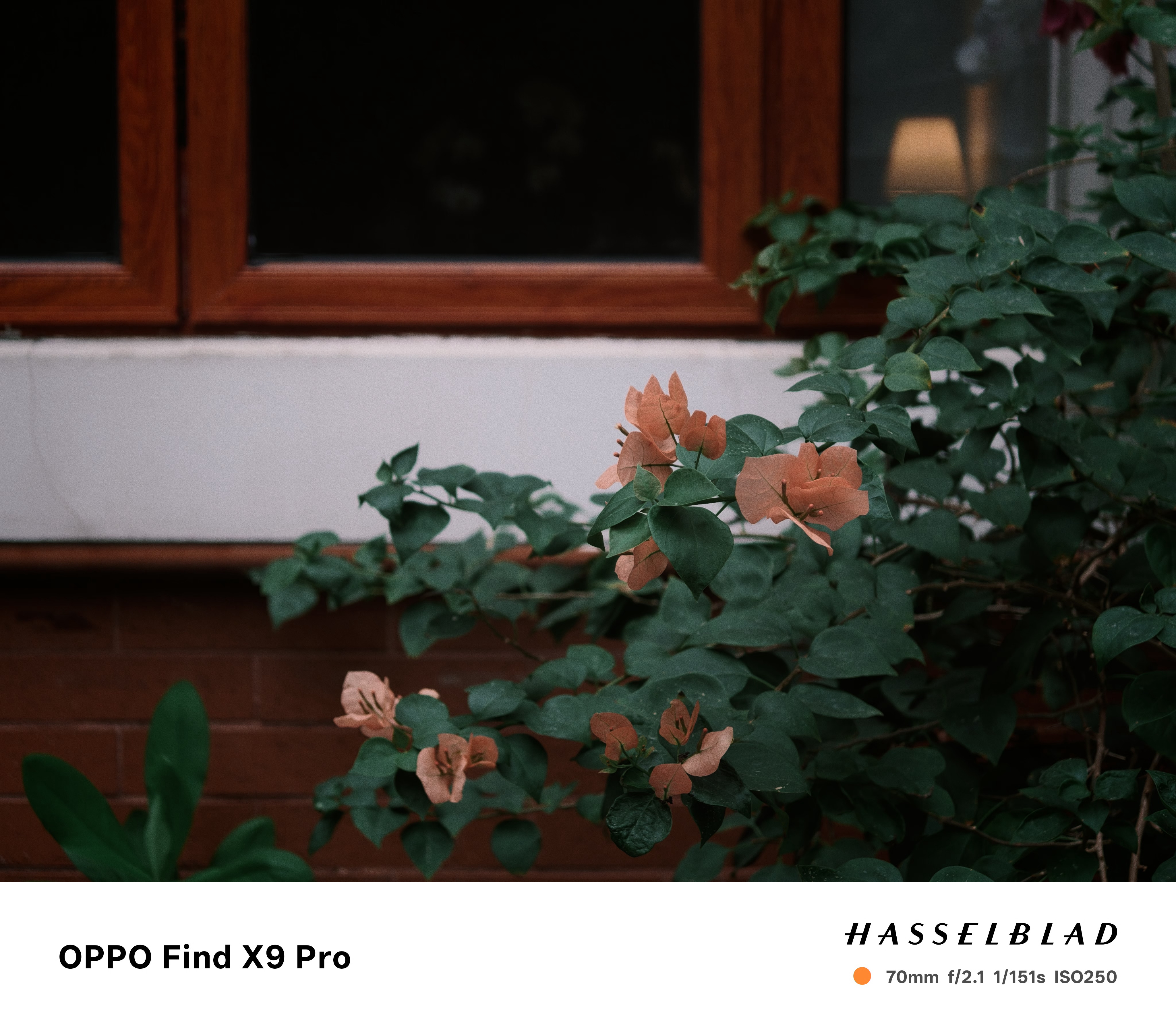 每天都是阴天，出门都没心情拍照了[无聊] ​​​