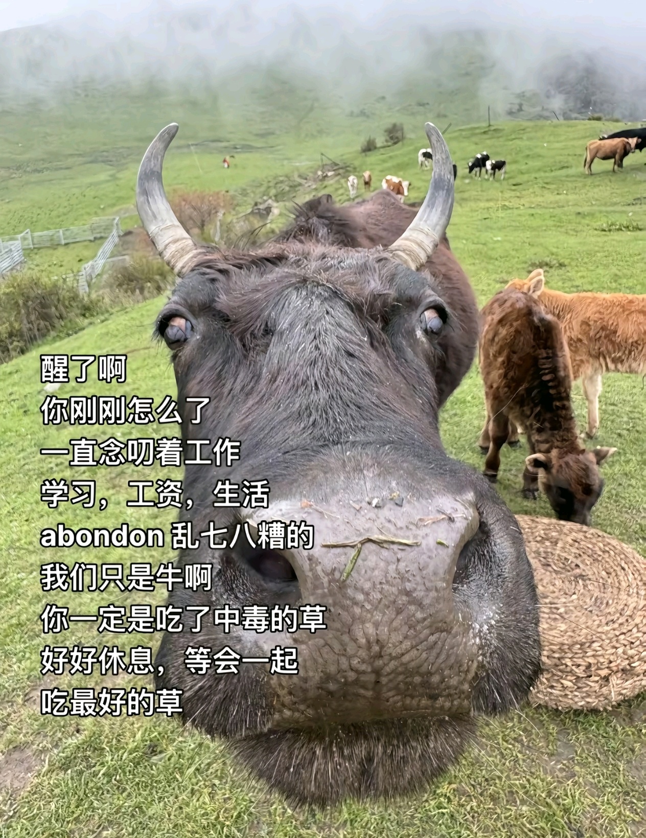 男生北大第一节上课决定退学复读我由衷钦佩他果敢的决断能力，更令人惊叹的是，他复读