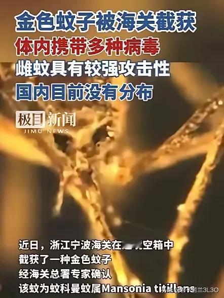 魔高一尺道高一丈，为海关人员点赞！西方帝国主义亡我之心不死，无所不用其极，我们要
