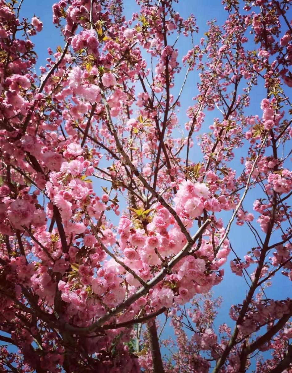 美国抓了马杜罗，对我们教训非常深，没有实力，世界仍然是丛林法则，谁有实力谁说算。