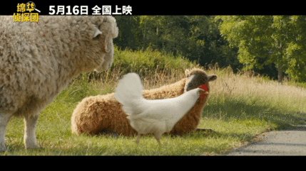 绵羊侦探团中国首映礼 轻松合家欢观影模式，温柔诠释告别、包容、记忆与成长的意义。