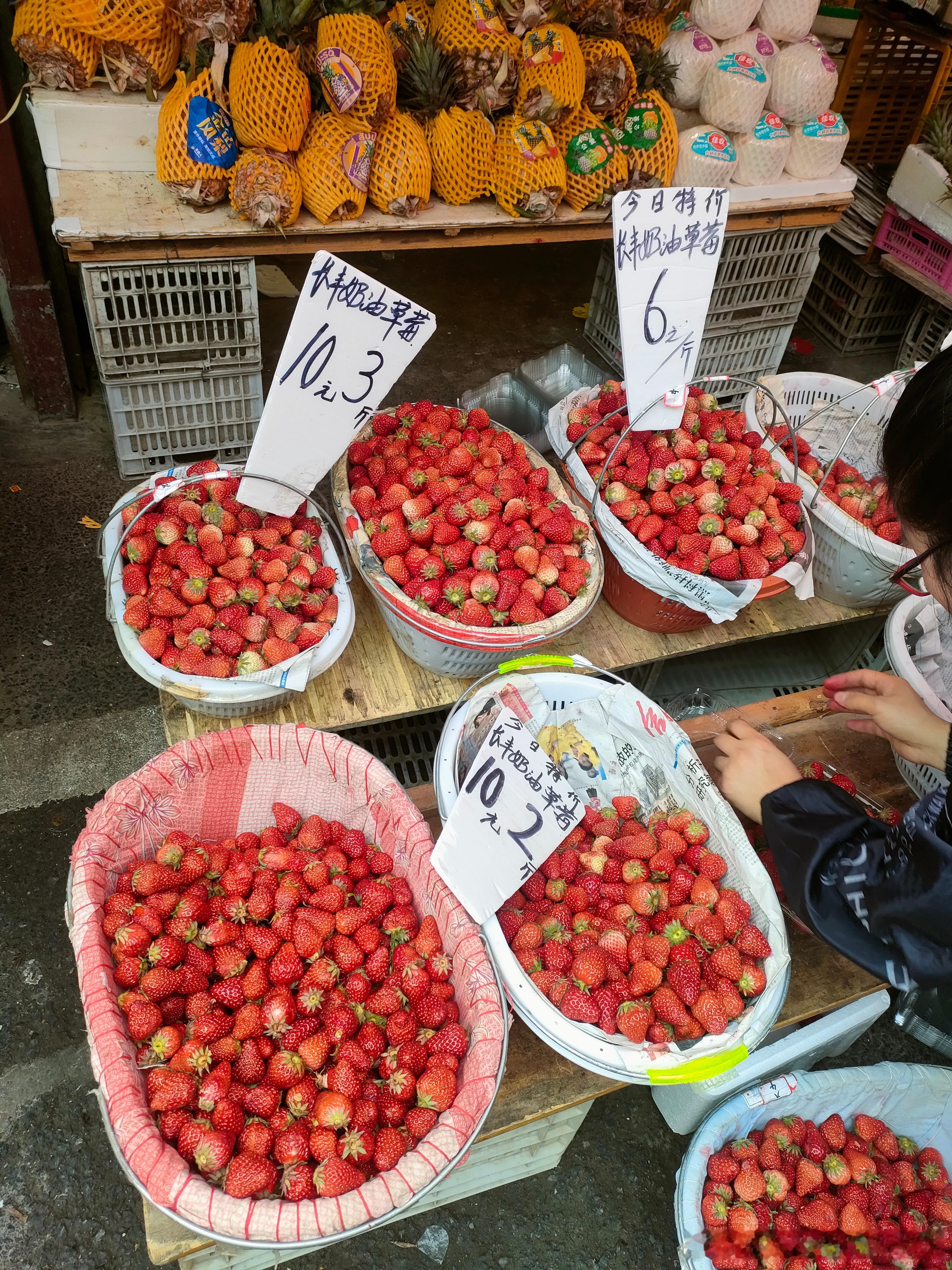 #肥猫说食疗养生# 看看合肥的草莓和丰富的蔬菜和水果[嘻嘻]上午买菜时顺手拍的，