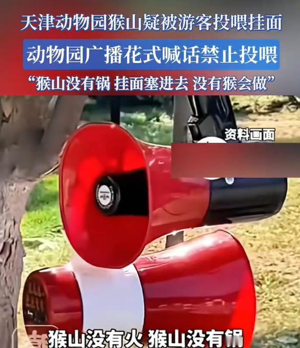 “猴山没有锅 挂面塞进去没猴会做”！天津动物园花式劝投喂，幽默吐槽戳中荒唐事
