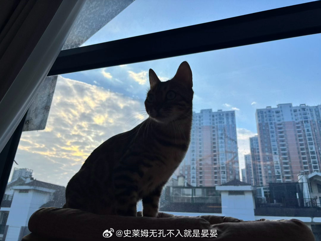 居高临下…… ​​​