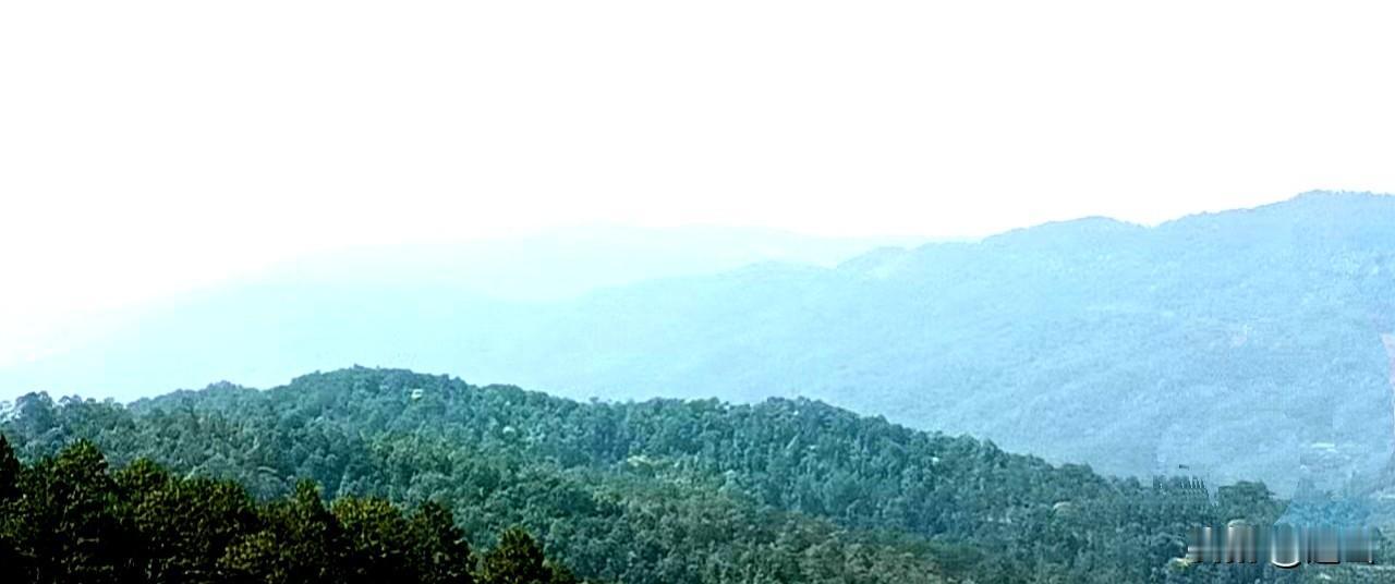 田间地头，房前屋后，成群的麻雀，没了影。在山里，穿山甲，也不见了。记得小时候，到