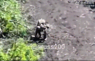 好奇害死猫！
一名士兵看到路边掉落的一架无人机，上前用手扒了扒，结果扒炸了，自己