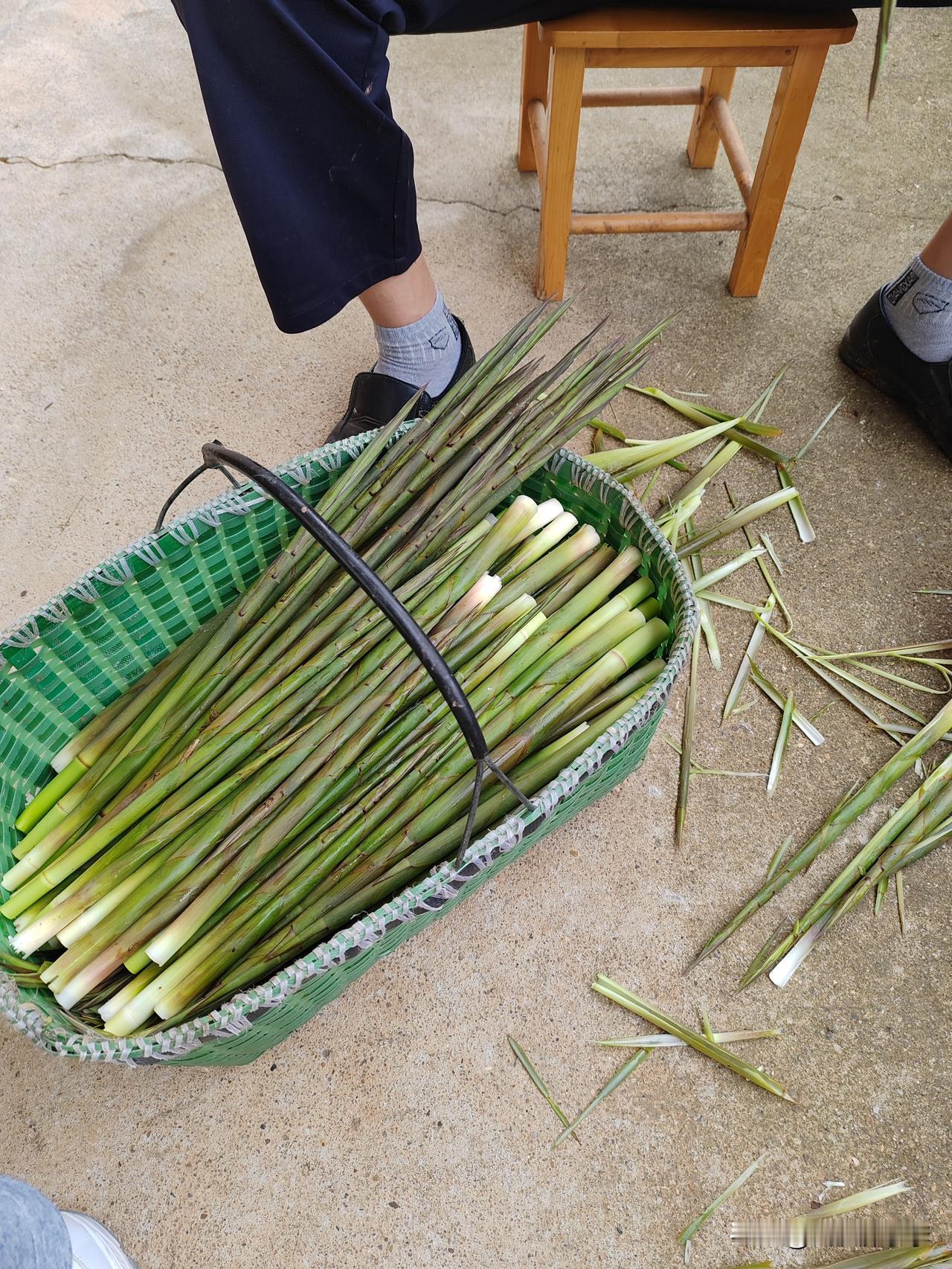 今天休息一大早去菜场买了三只鸽子，30块钱一只，再买了一点枸杞，还买了一挂香蕉，