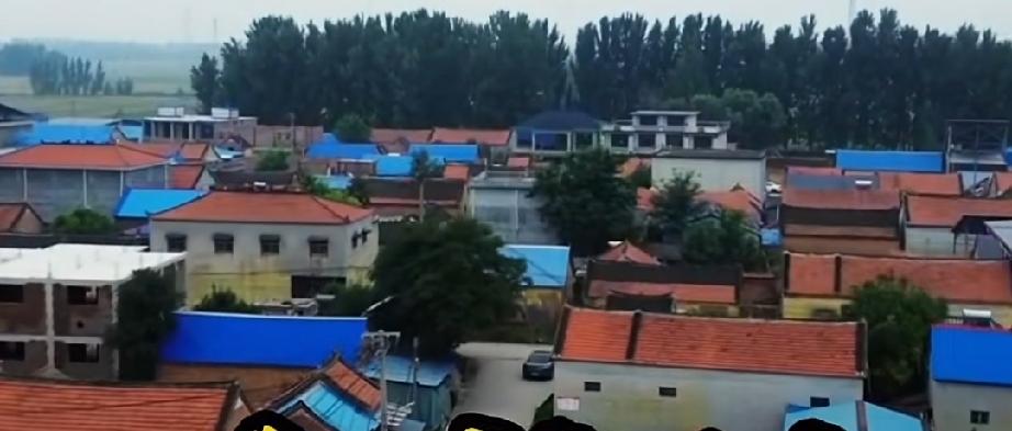 牡丹区大黄集镇苑寨村
苑寨村位于大黄集东南3.5公里，北近马府，南与曹县接壤。村