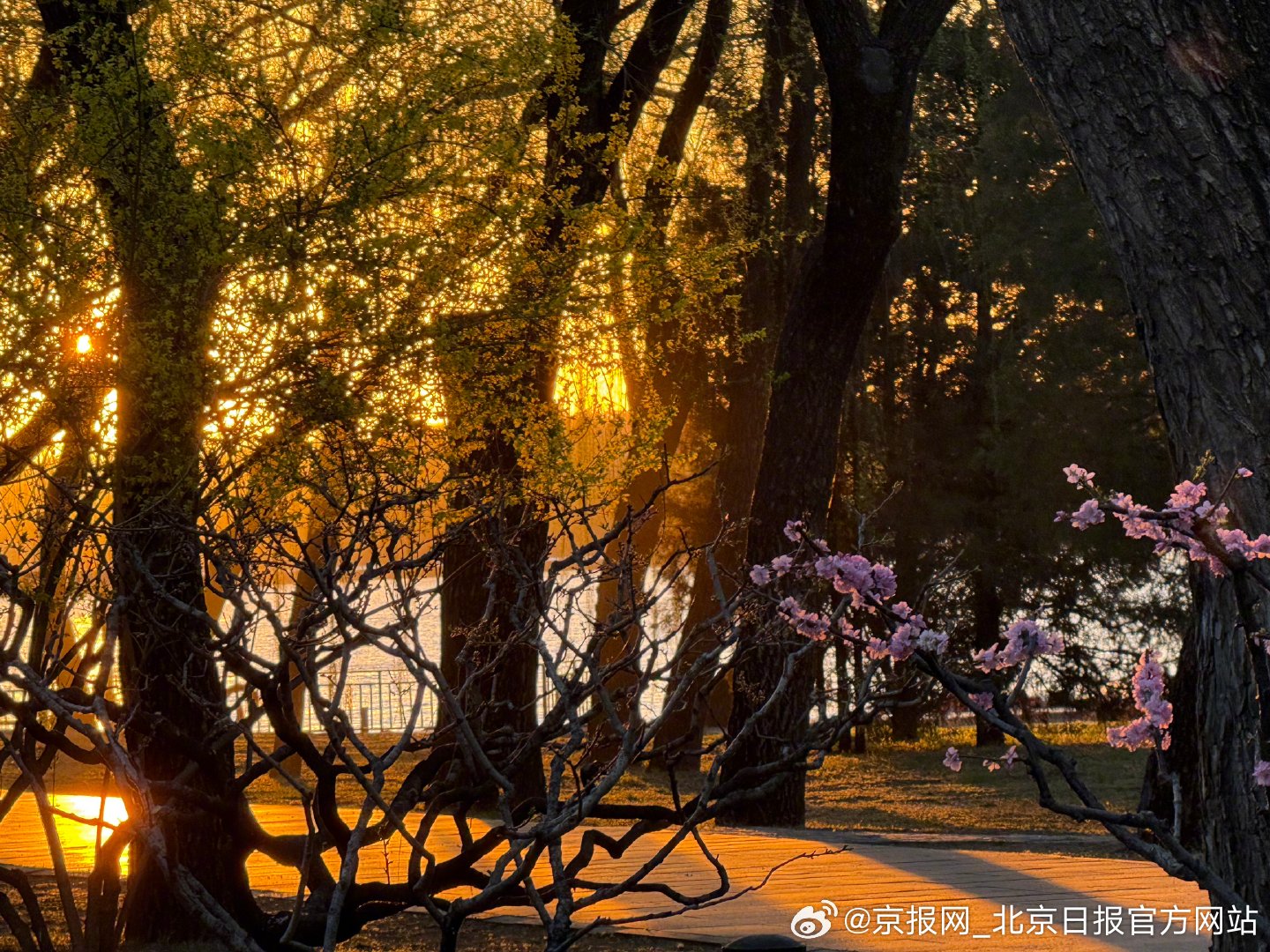 【#4月第一天的太阳光芒万丈# 】#2026已经过完四分之一了# 4月1日，当太