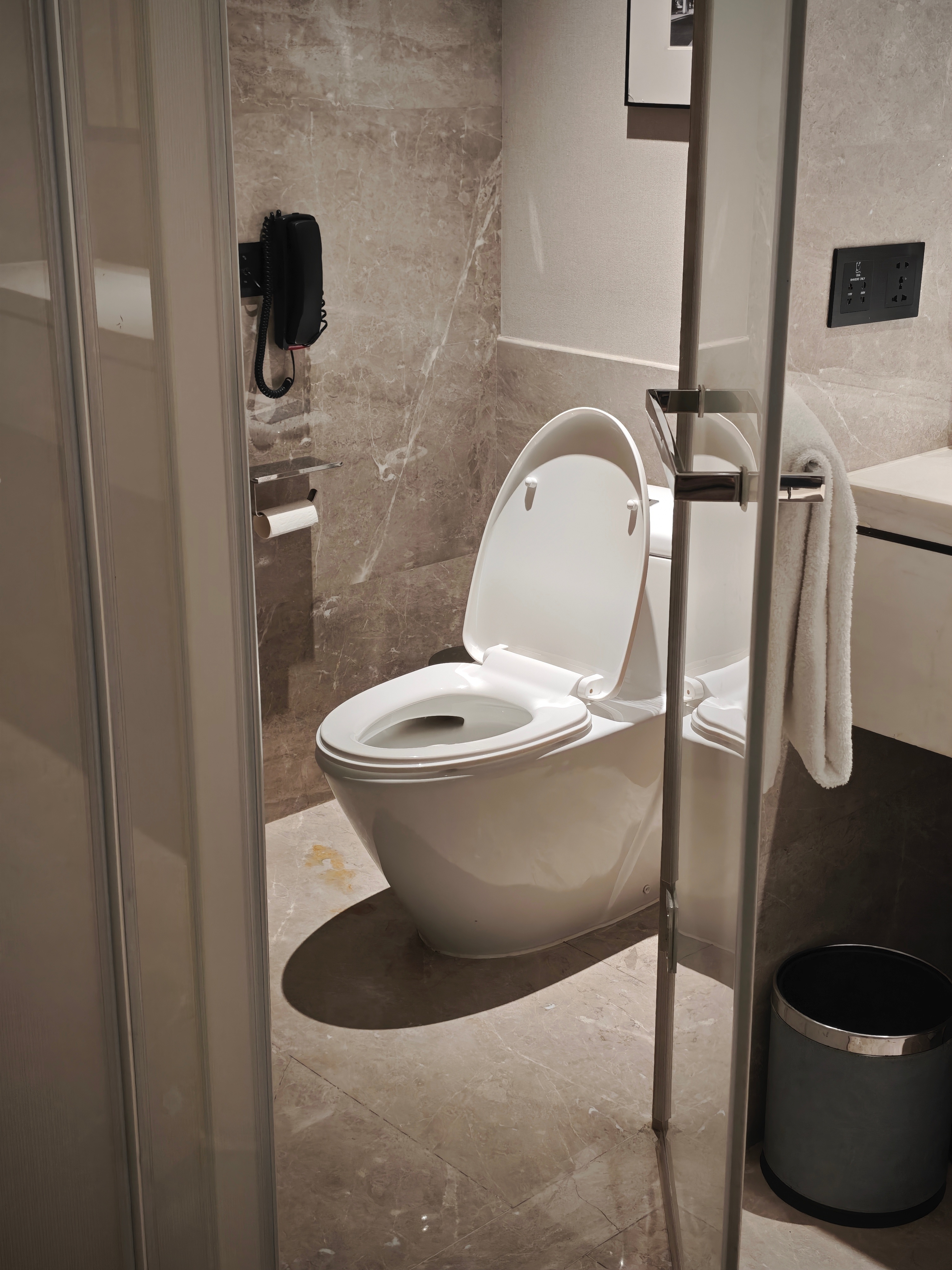 最近住酒店有点倒霉，前几天遇到毛巾上有一大堆虫子尸体，今天刚入住发现厕所巨臭，阿