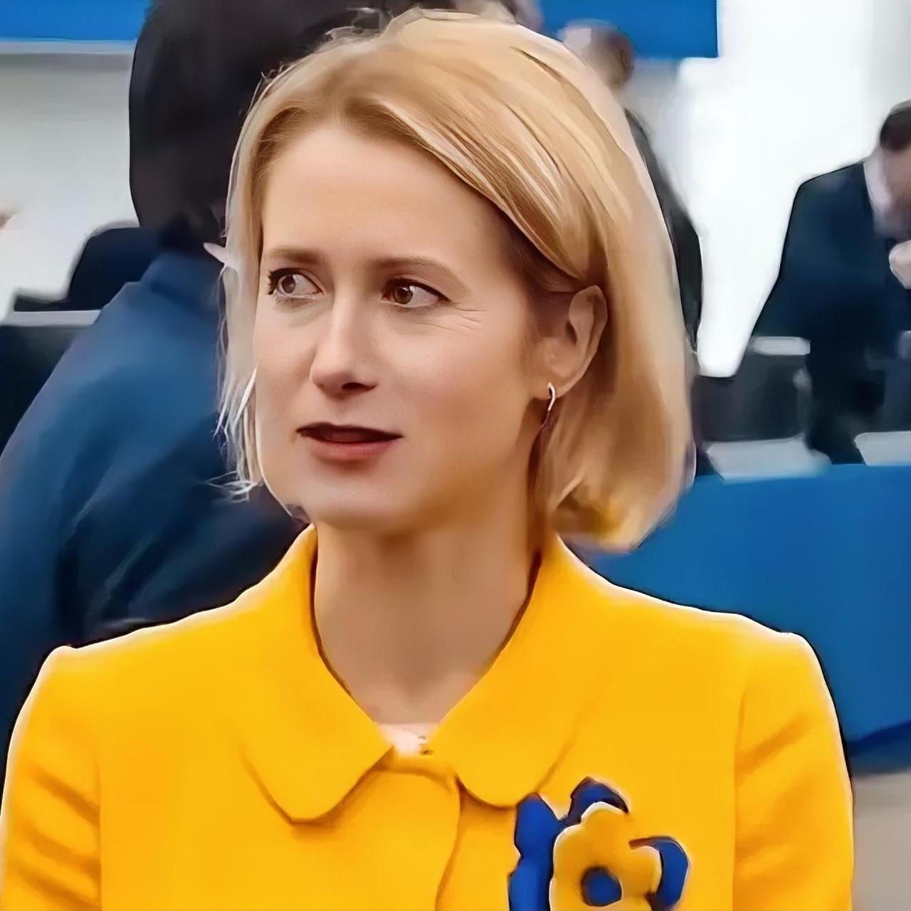 真是不敢相信！欧盟那位美女外长卡拉斯，竟然开怼美国，而且还挺狠

近日，卡拉斯在