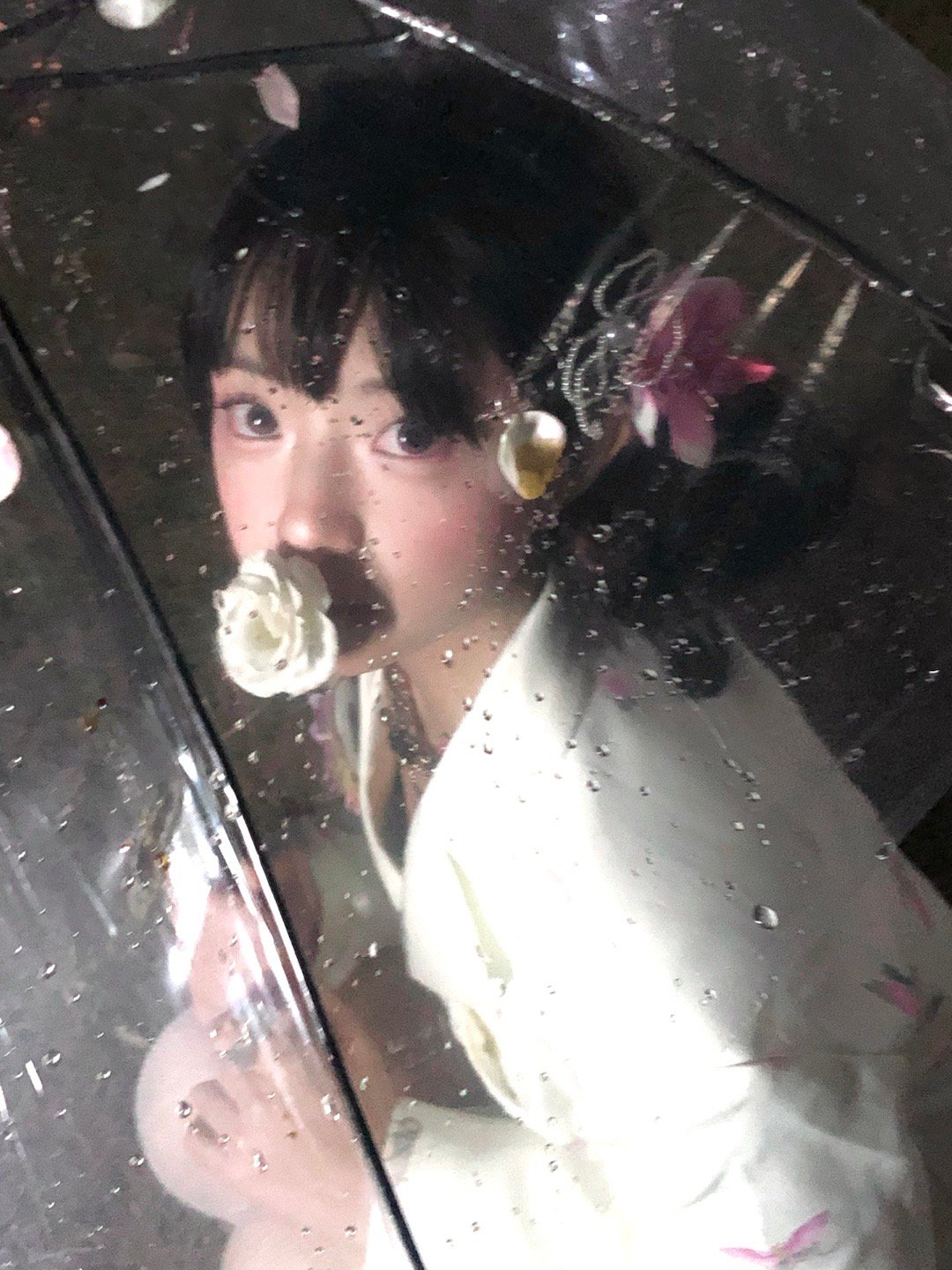 凋零的春 ​​​