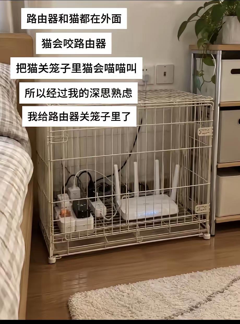 这笼子最好是铁丝做的，如果是塑料笼子会被猫咬坏，记得买铁丝缠绕加固，这是重点，要