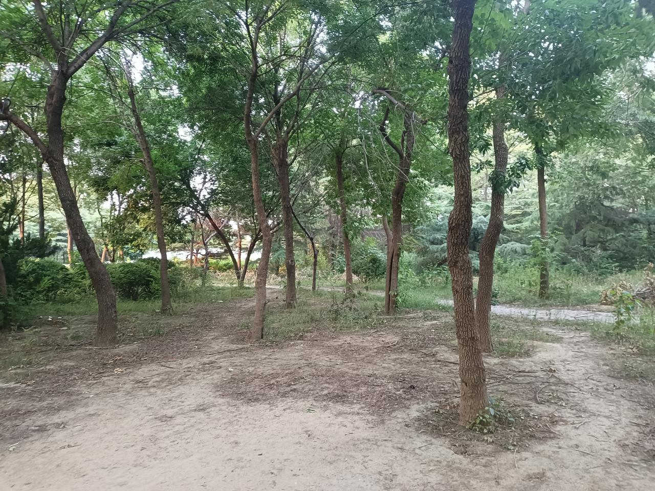 别一开始练拳，
就意呀气呀以武入道呀一大堆理论，
先撸起袖子来，练两把，
把拳练