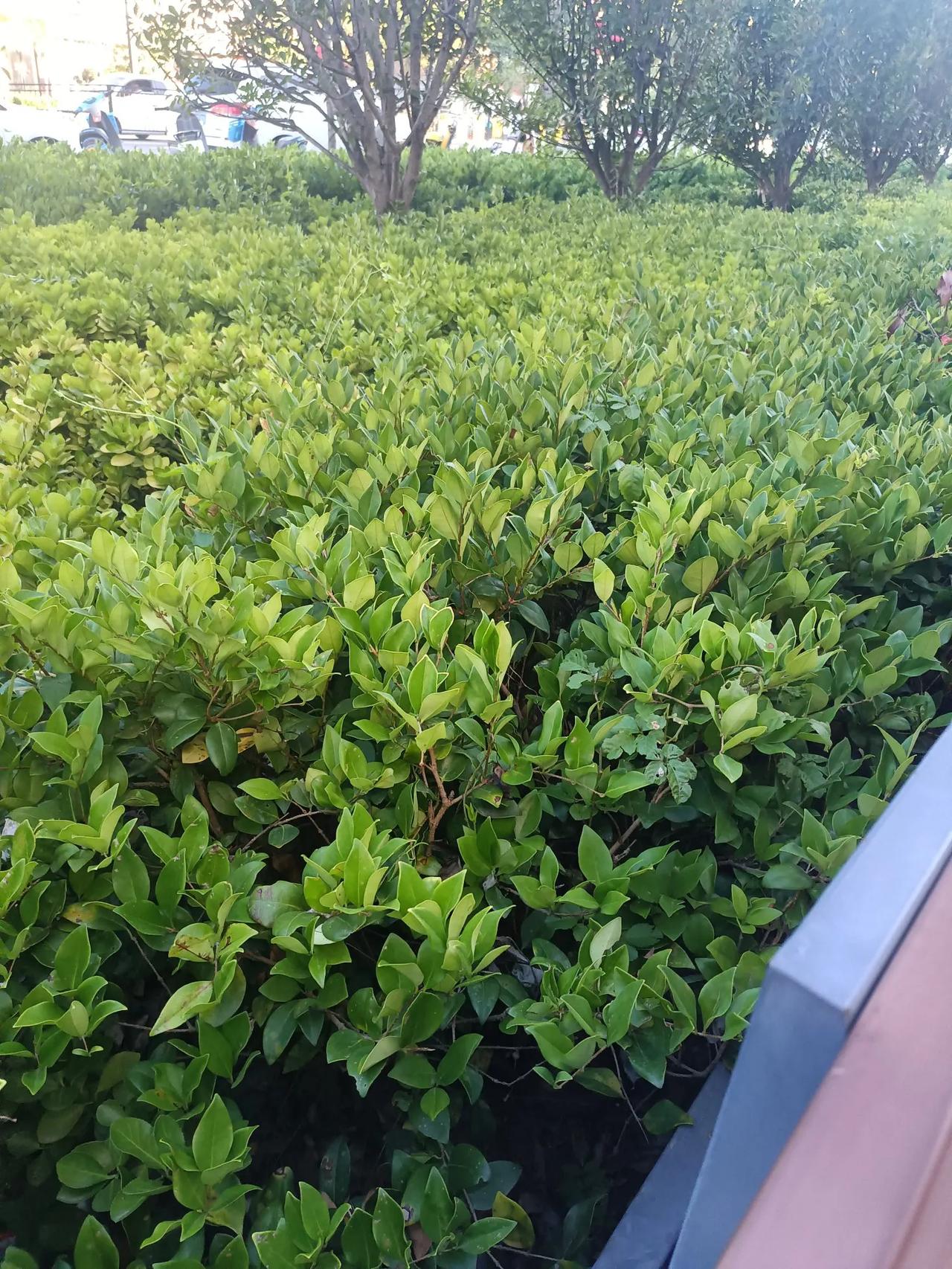 有的时候，女人内心很复杂:
就说我同事，谈了个女友，刚开始俩人好的跟一个人似的。