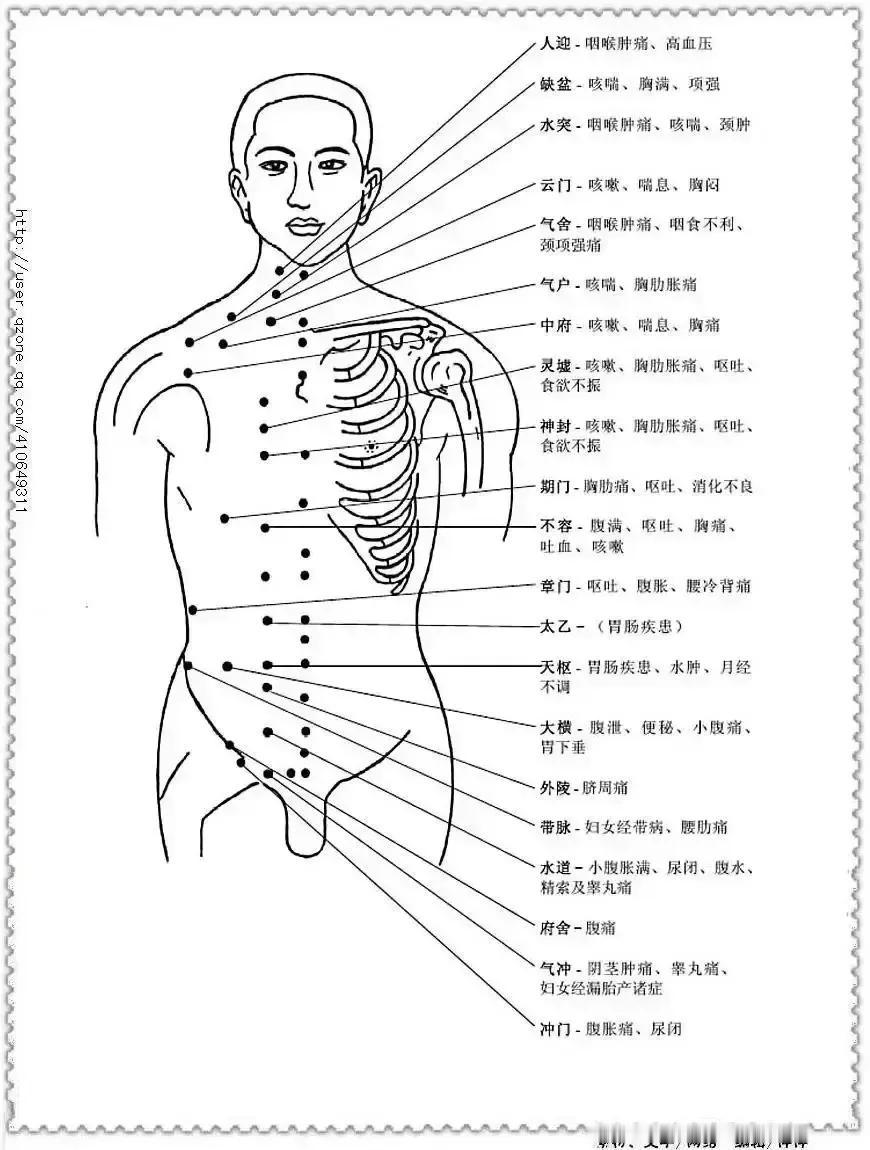 你是否听过“经络”这个词？你知道它的走向和主治病症吗？今天，我们就来一起探索一下