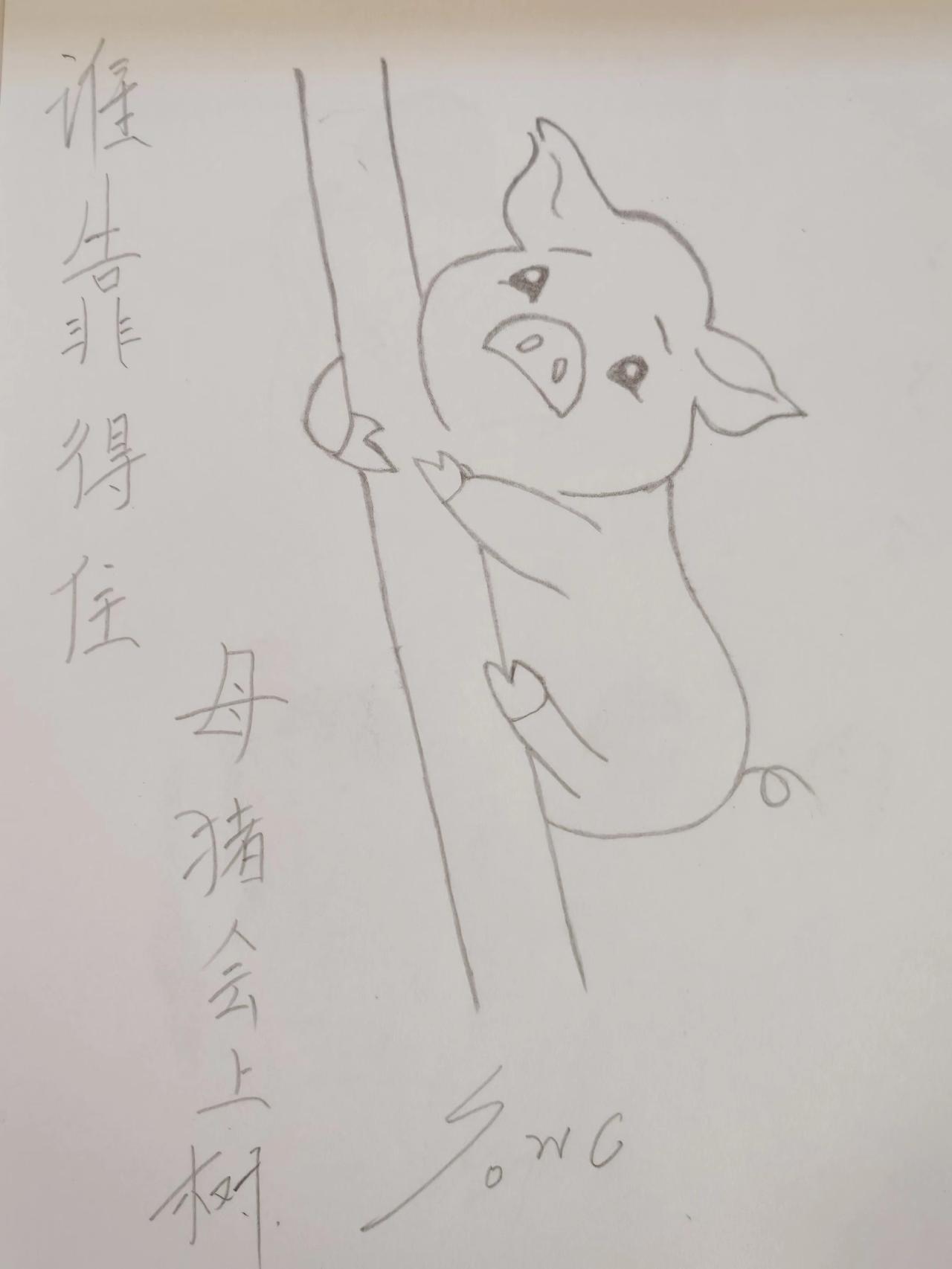 男人靠得住母猪会上树 母猪上树了 搞笑 内容过于真实 上热门话题🔥🔥🔥