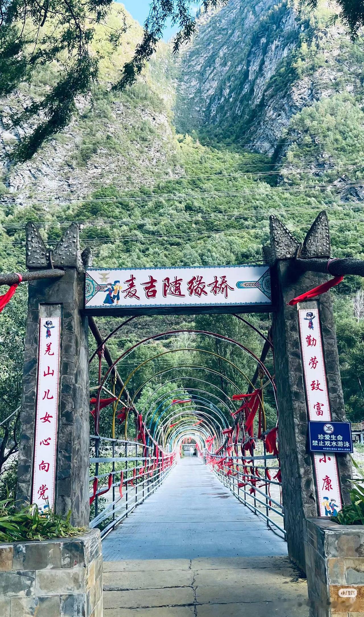 一场及时雨润透松潘云上麦吉的高山森林🌲
8月20号左右至十月底在雨水滋养之下，