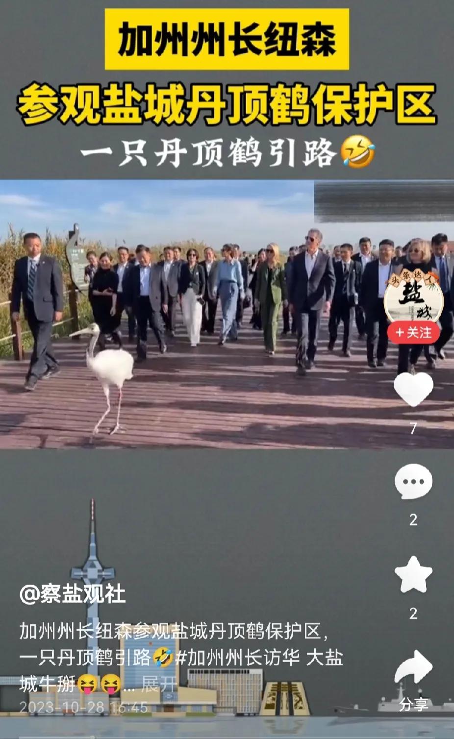 天降瑞鹤，祥迹，祥迹啊。天命如此，请纽森州长速回加州举事，则加州独立可成唉。

