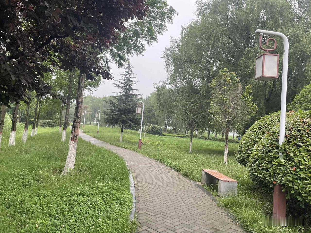 【长相思•坐亦禅】
坐亦禅，行亦禅，一叶一花也秀山。
春来春去牵。
利莫贪，财莫
