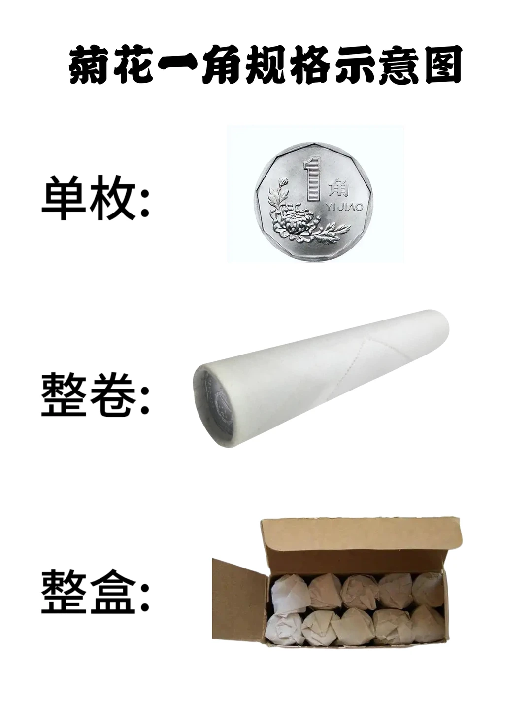 硬币规格示意图