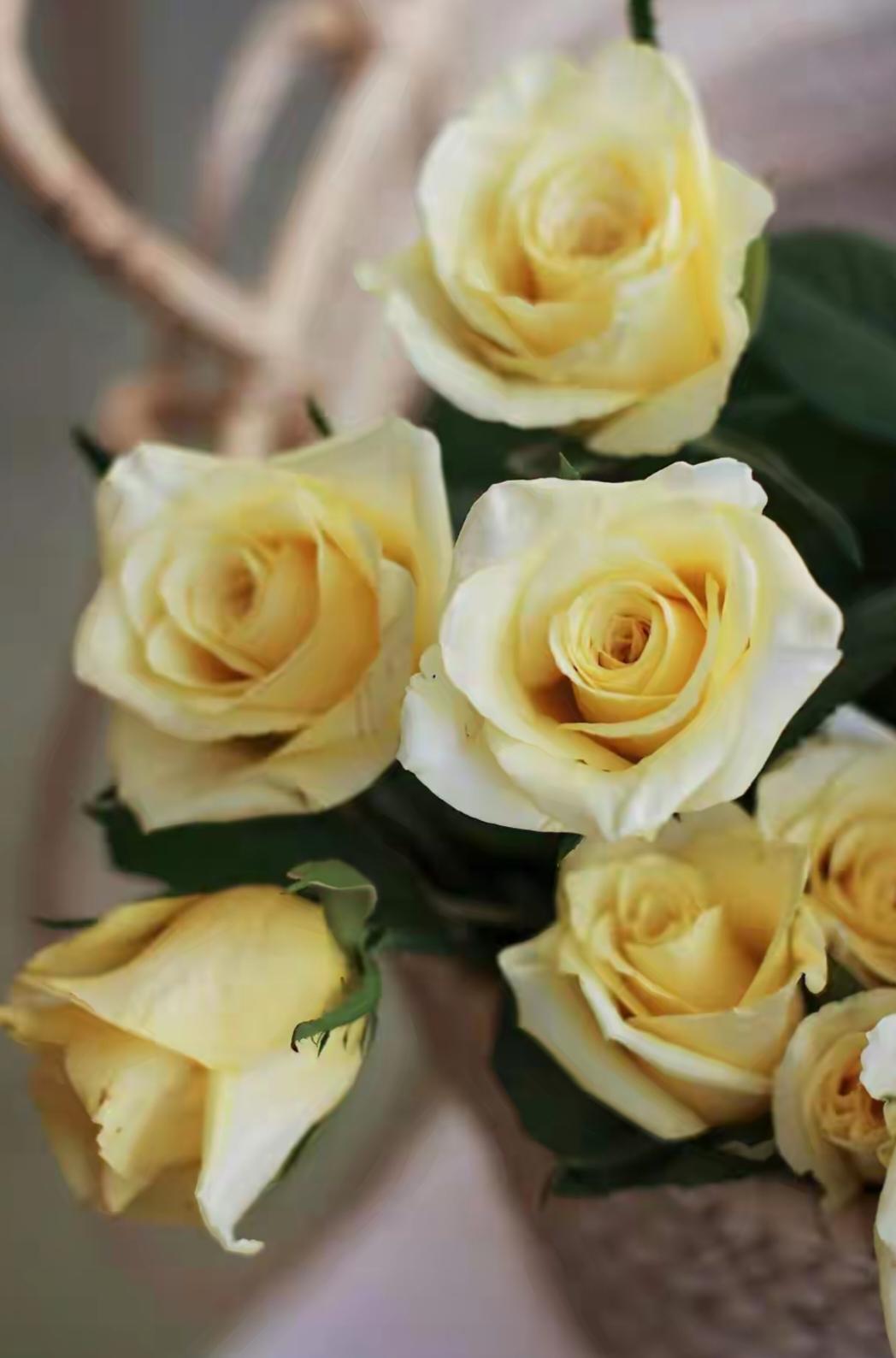 有一种女人，爱过后，不纠缠不联系，却成了男人一生的“心病”

这种女人就像深夜的