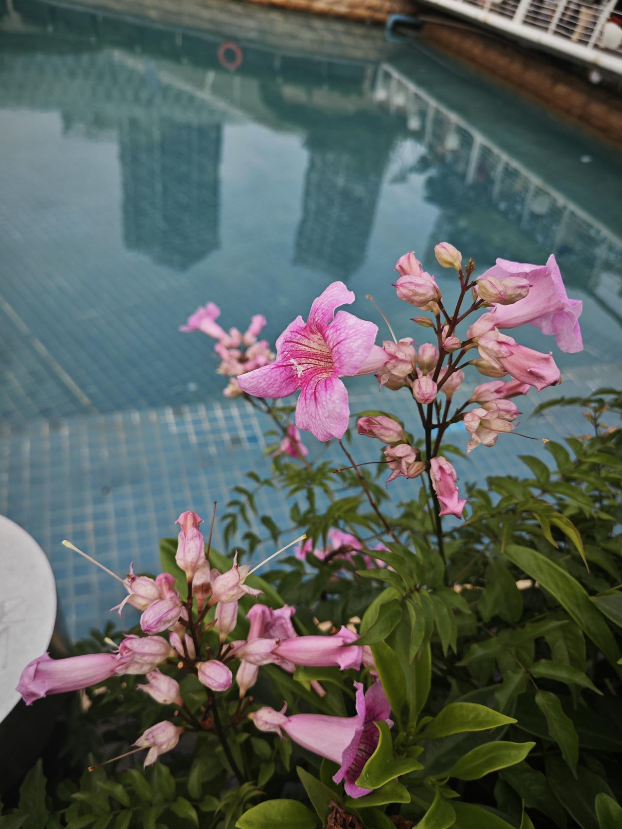 生活很美好，每天都要开心呀！