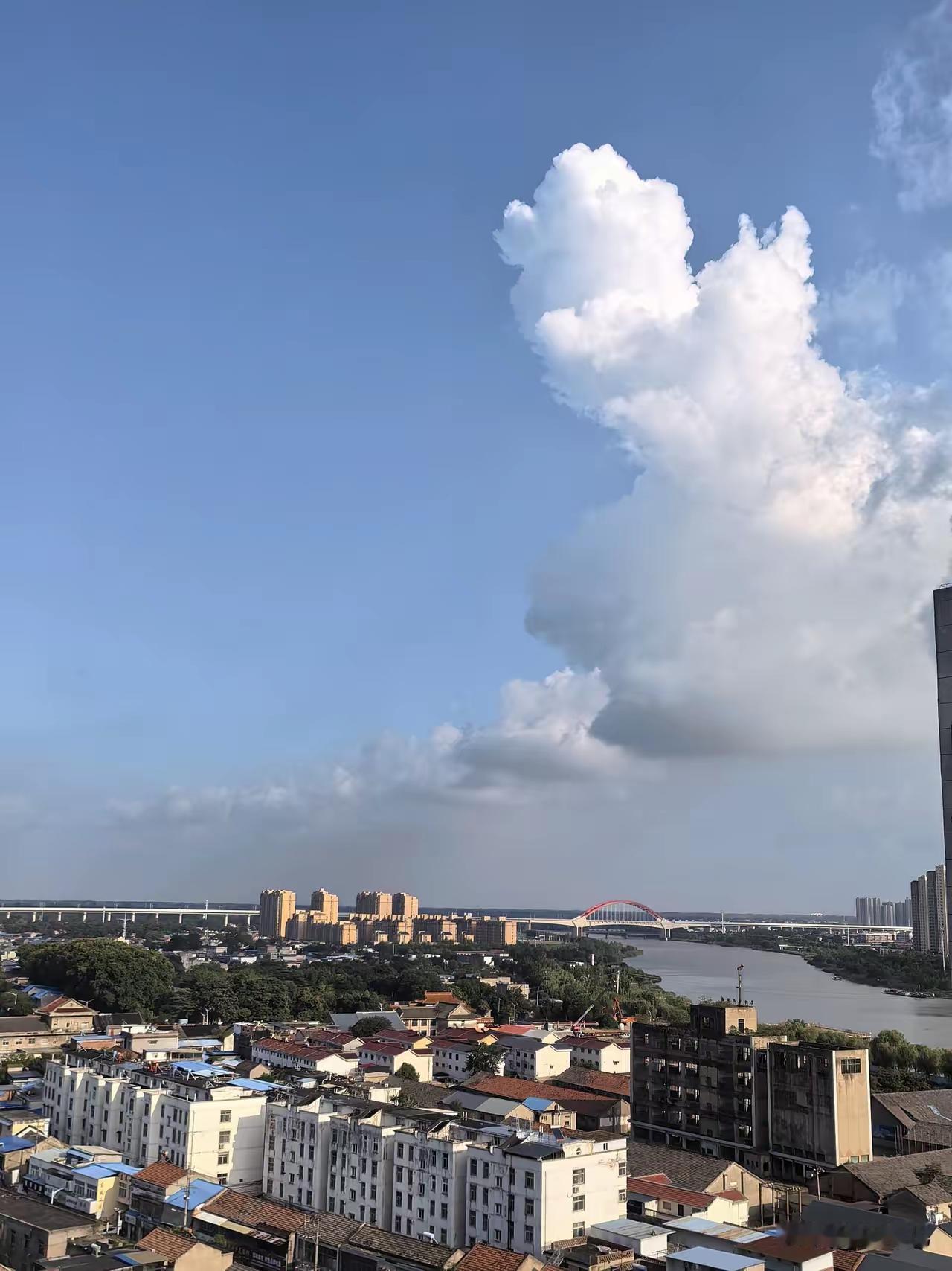 高一军训刚开启，不少家庭就遇上棘手难题，有的孩子才参训一天就坚决拒绝继续，甚至拿