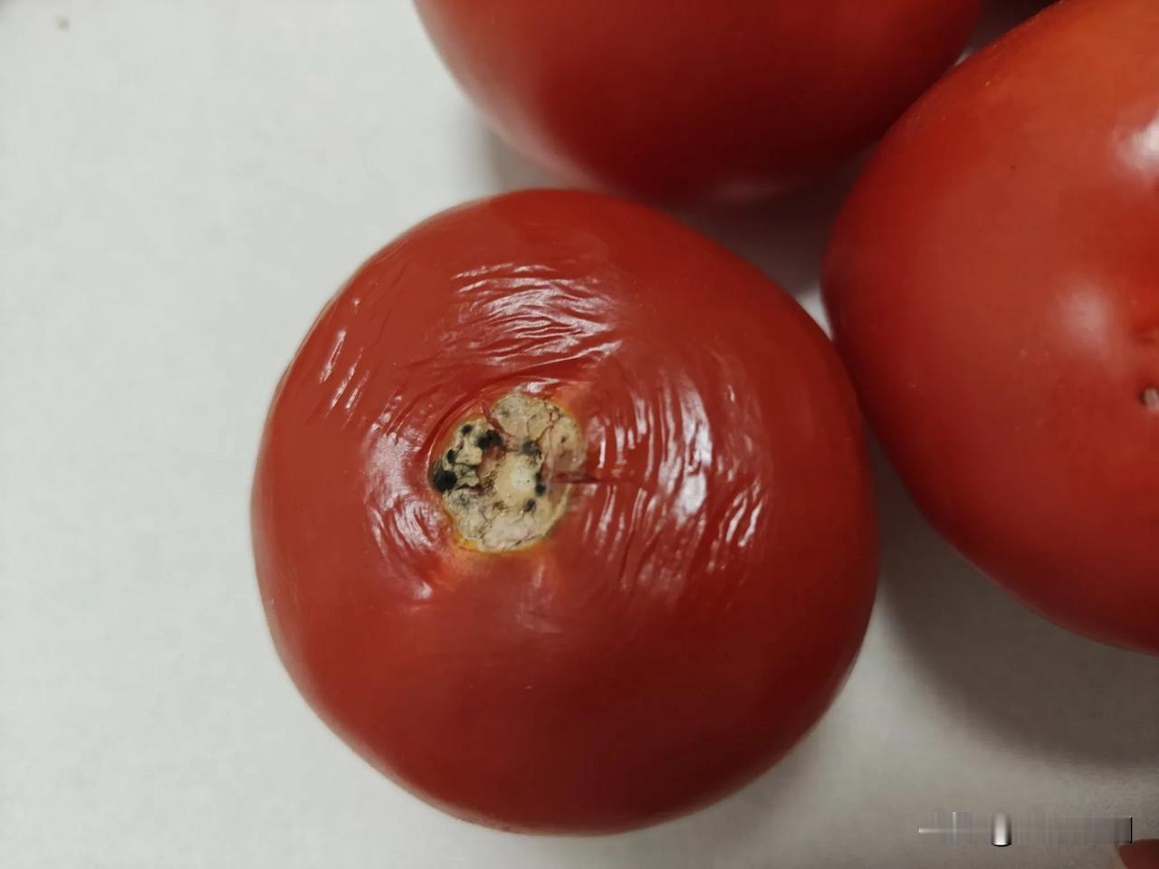 某网红直播卖的西红柿🍅，看着很诱人，买了5斤，到手后打开一看，几乎都是坏的，让