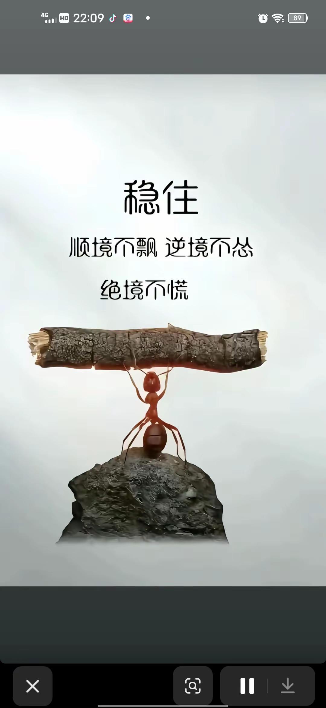 .com♥昨天的故事♥今天的现实♥明天的历史与政治♥