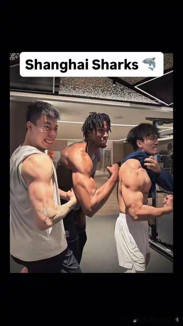 目前国产第一小前锋当属张镇麟，话说这孩子肌肉也挺恐怖，可得好好表现，千万不要让王