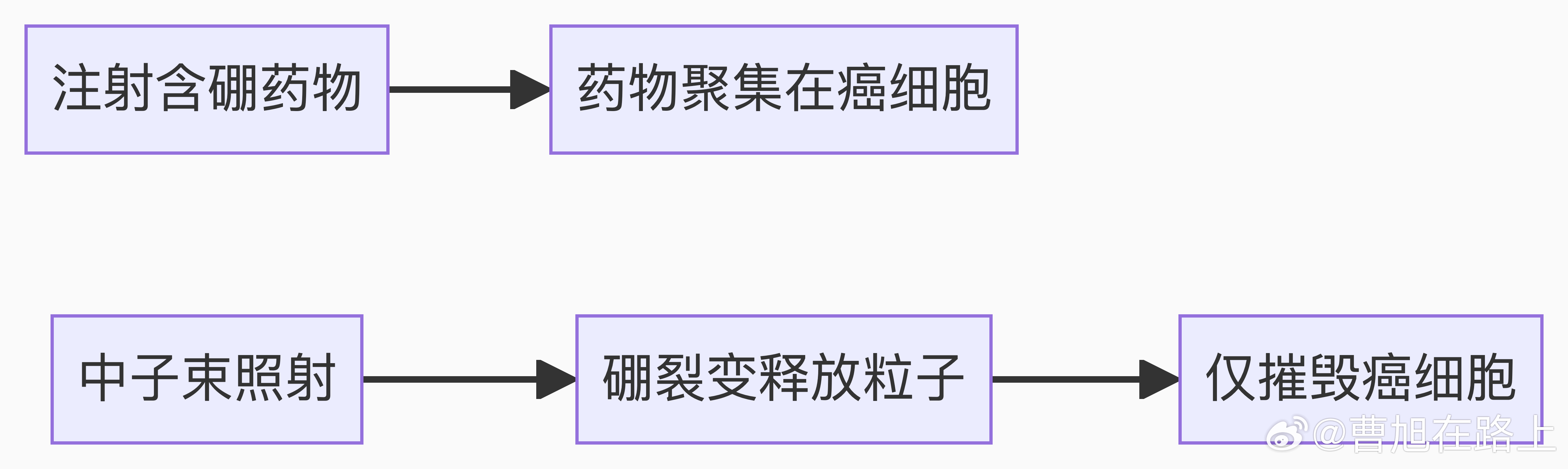 日本癌症突破性技术向中国开放 关于日本癌症突破性技术（硼中子俘获治疗，BNCT）