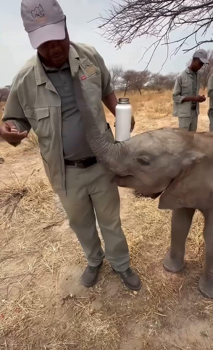 ·1、你喜欢的是什么？