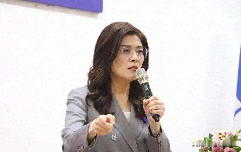 台湾从来没有“独立”过，民进党的话术不过是街头混混的自欺欺人！当郑丽文直接扒下岛