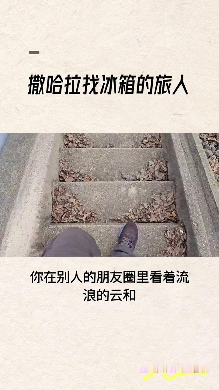 撒哈拉找冰箱的旅人。
星河烬之人生感悟。
你在别人的朋友圈里看着流浪的云和盛开的