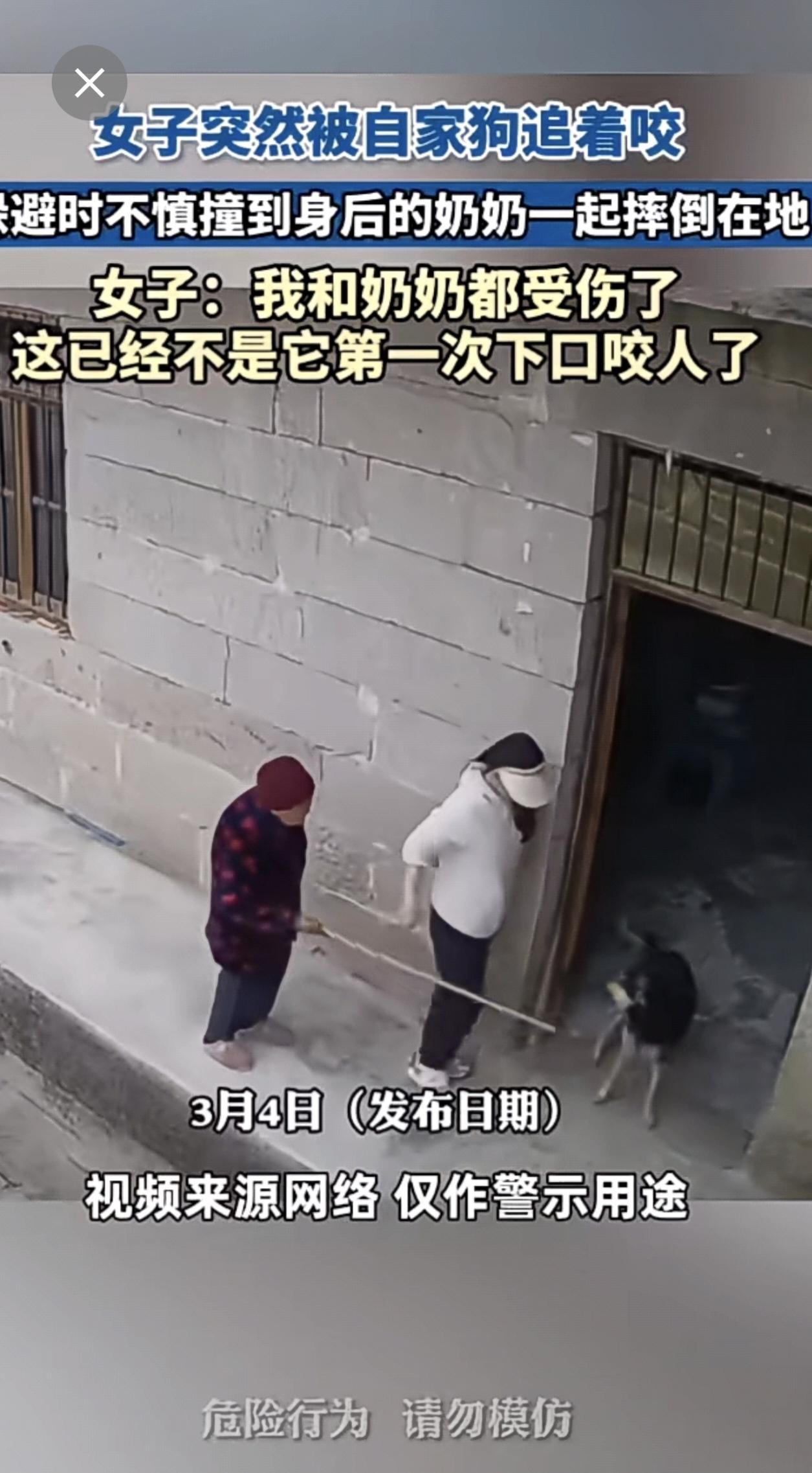 女子突然被自家狗追着咬，躲避时不慎撞到身后的奶奶一起摔倒在地，女子：我和奶奶都受