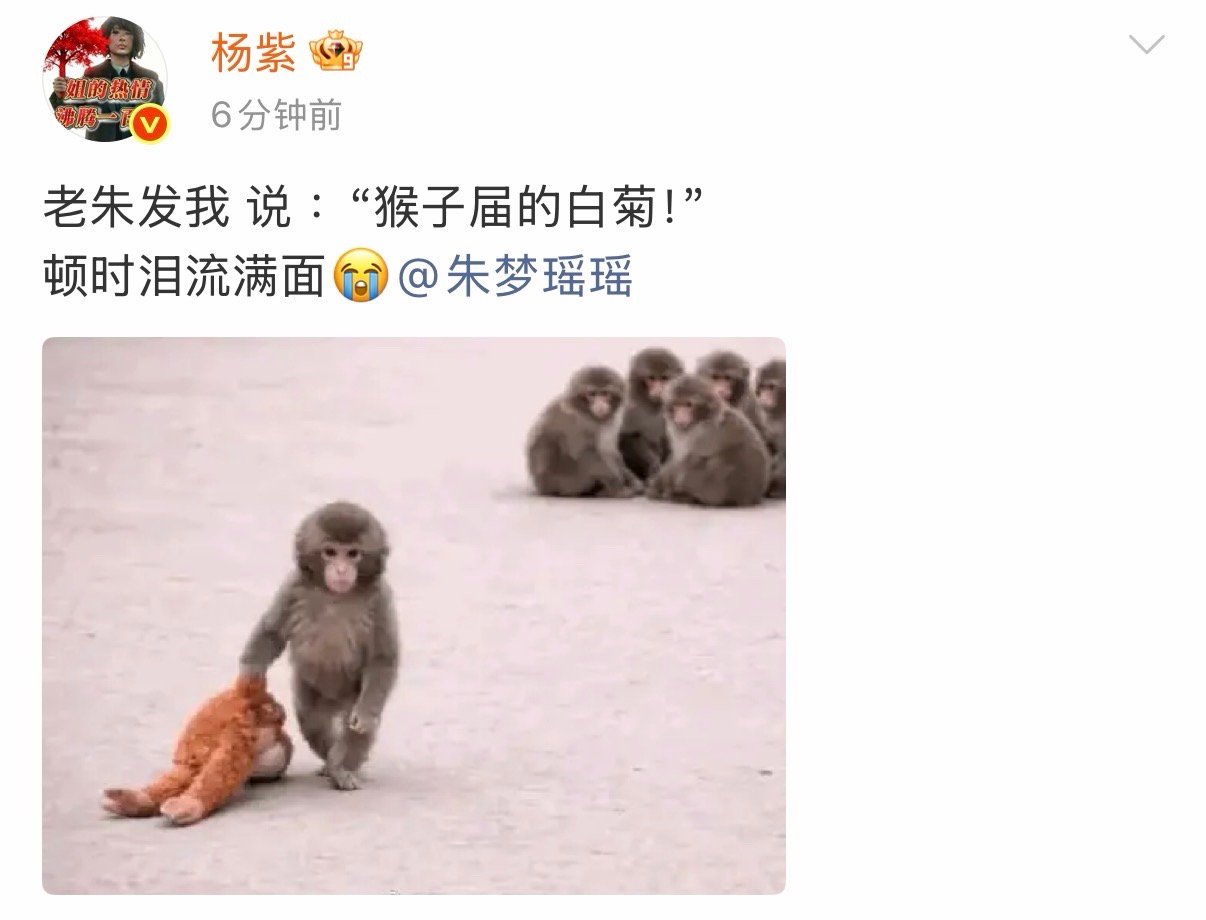 杨紫顿时泪流满面朱梦瑶说杨紫是猴子届的白菊 杨紫顿时泪流满面 