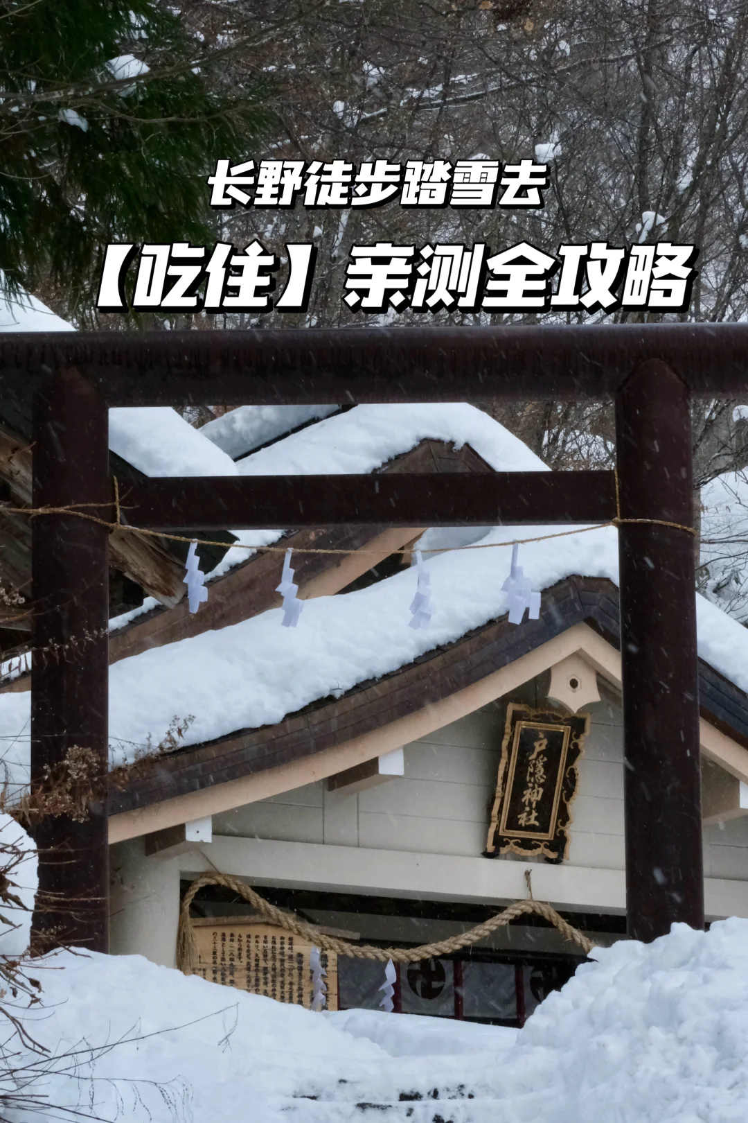 2024旅行结算 | 长野雪地徒步戒断太难了😭