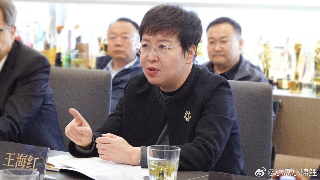 3月30日下午，青海省人民政府副省长王海红一行莅临正午阳光公司调研，实地考察影视