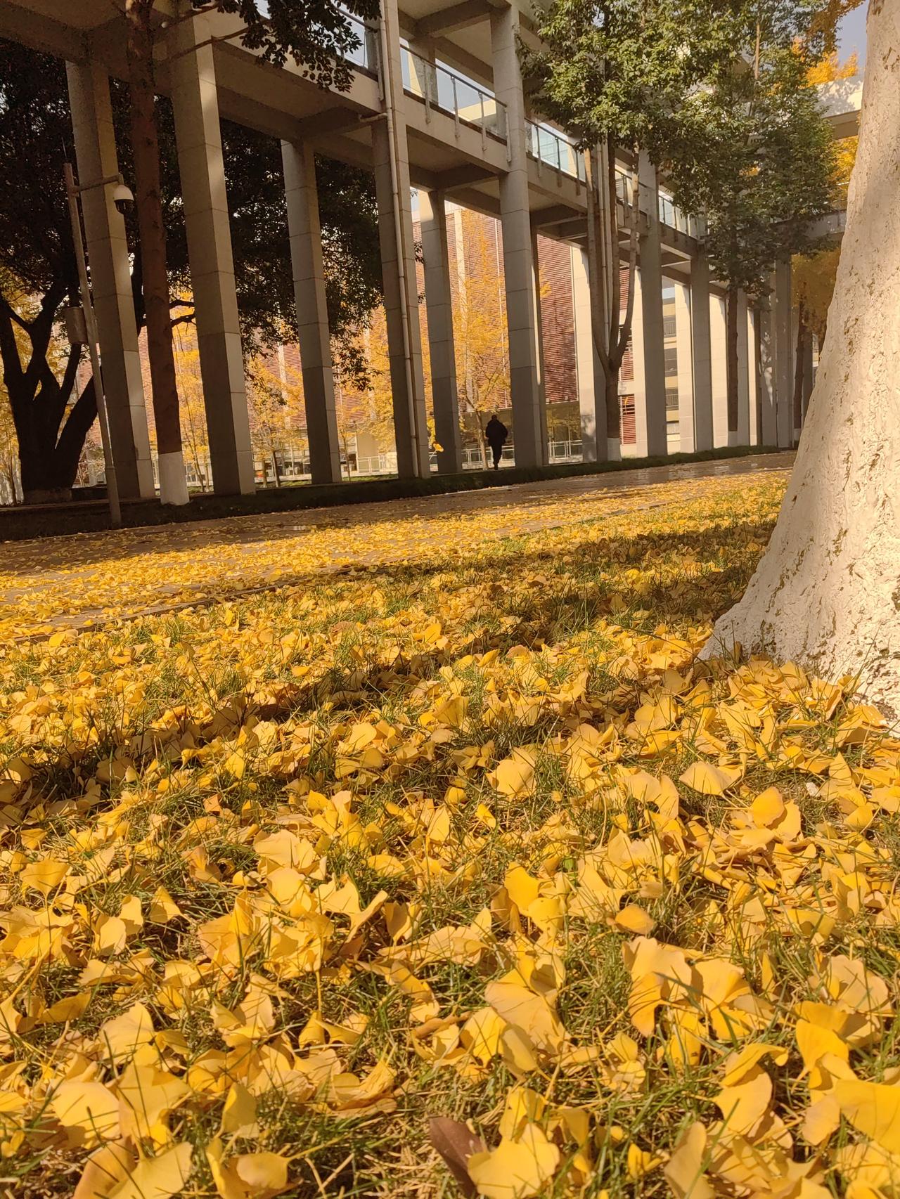 2025年我国GDP增速5%。骄傲！
只能说我给国家丢人了。
这两年合同额都超过