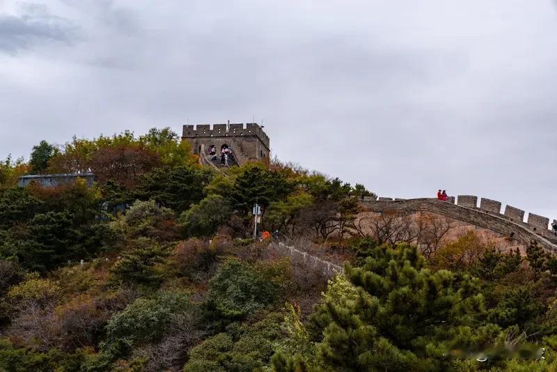 6亿阅读量的中外游客爬长城遇降雪互相搀扶到底藏着啥魅力？1月17日北京大雪，八达