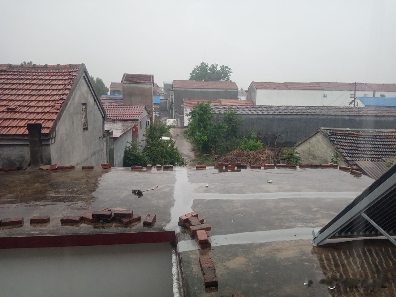 老农谚
有雨无雨，就看四月十二
三七初一都不灵，单看四月十二天阴晴
三七初一无指