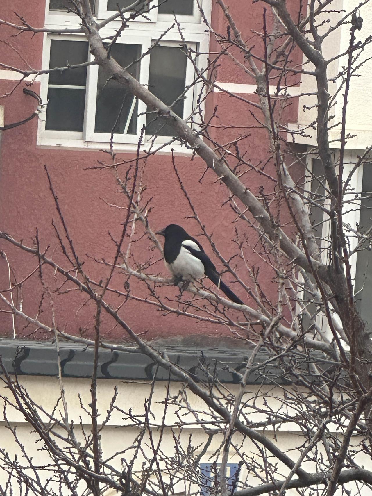 每日记下三件小确幸
1️⃣臭小子最近长肉了，功夫不负有心人。最近就是多样化，东一